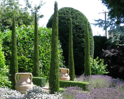 CUPRESSUS SEMPERVIRENS ‘TOTEM’ stĺpovitý cyprus ako architektonický prvok v modernej záhrade